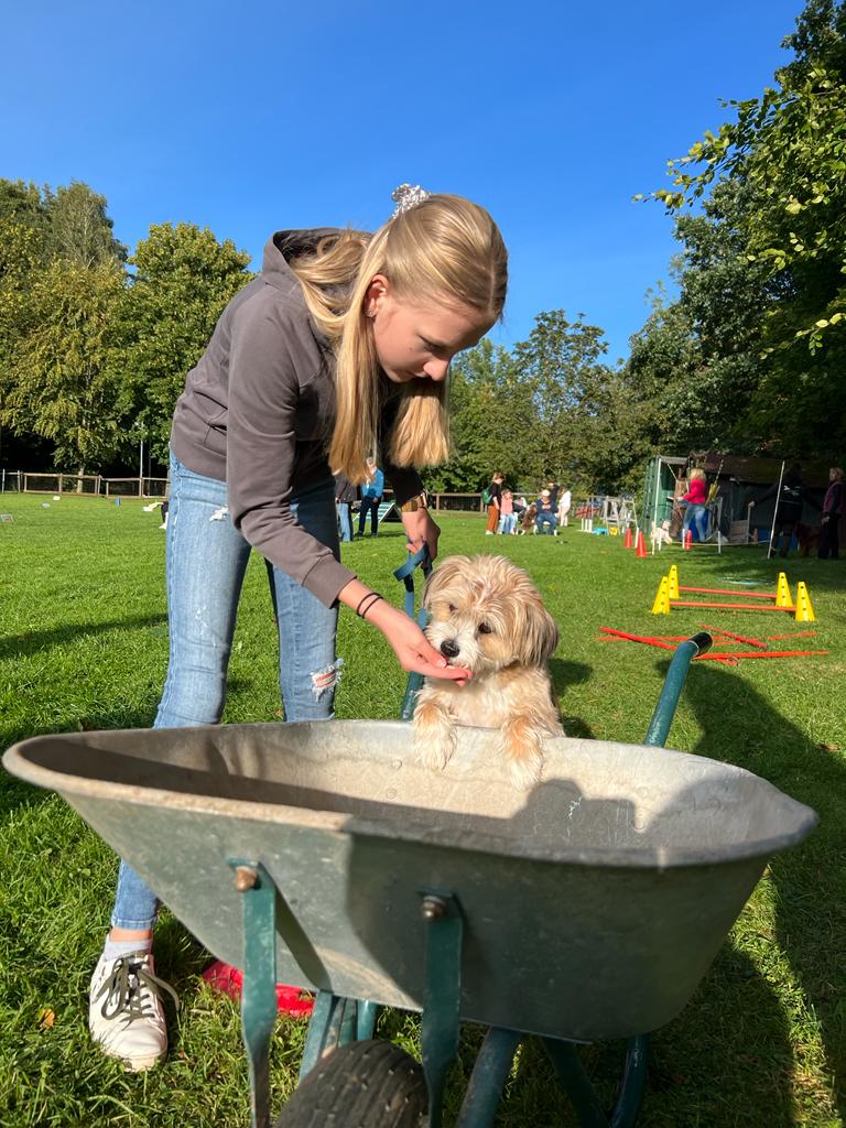 Sommerfest 2023