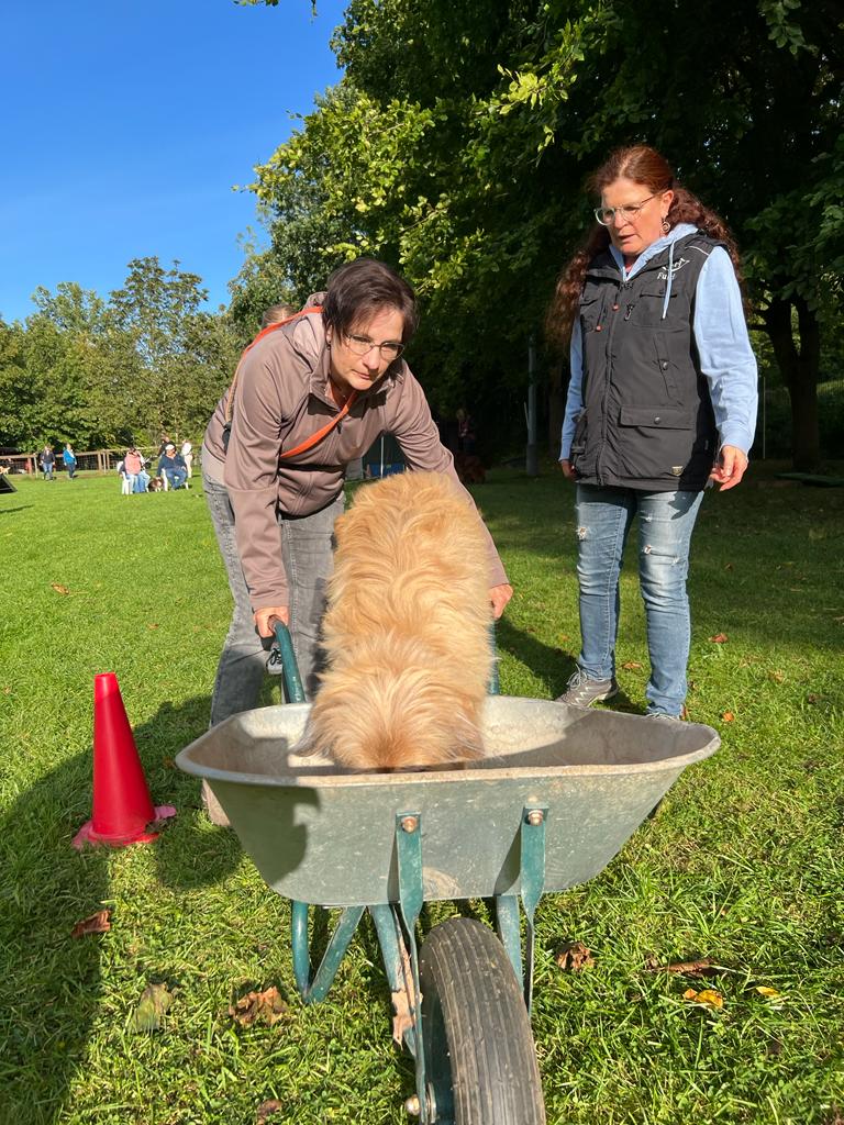 Sommerfest 2023