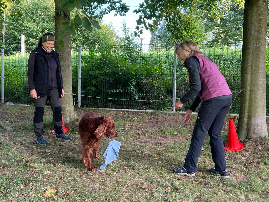 Sommerfest 2023