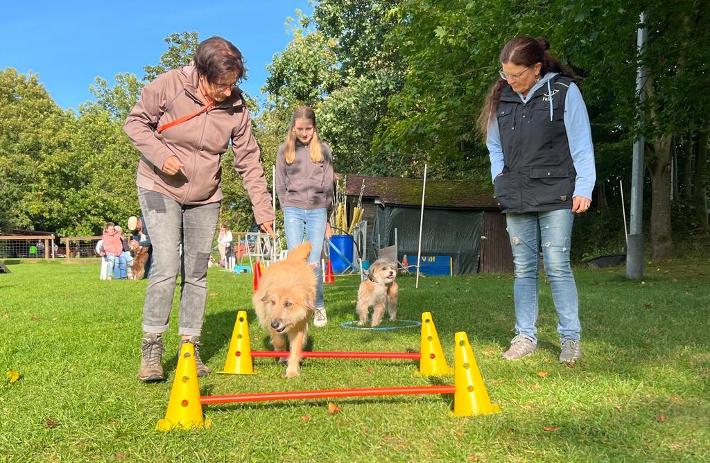 Sommerfest 2023