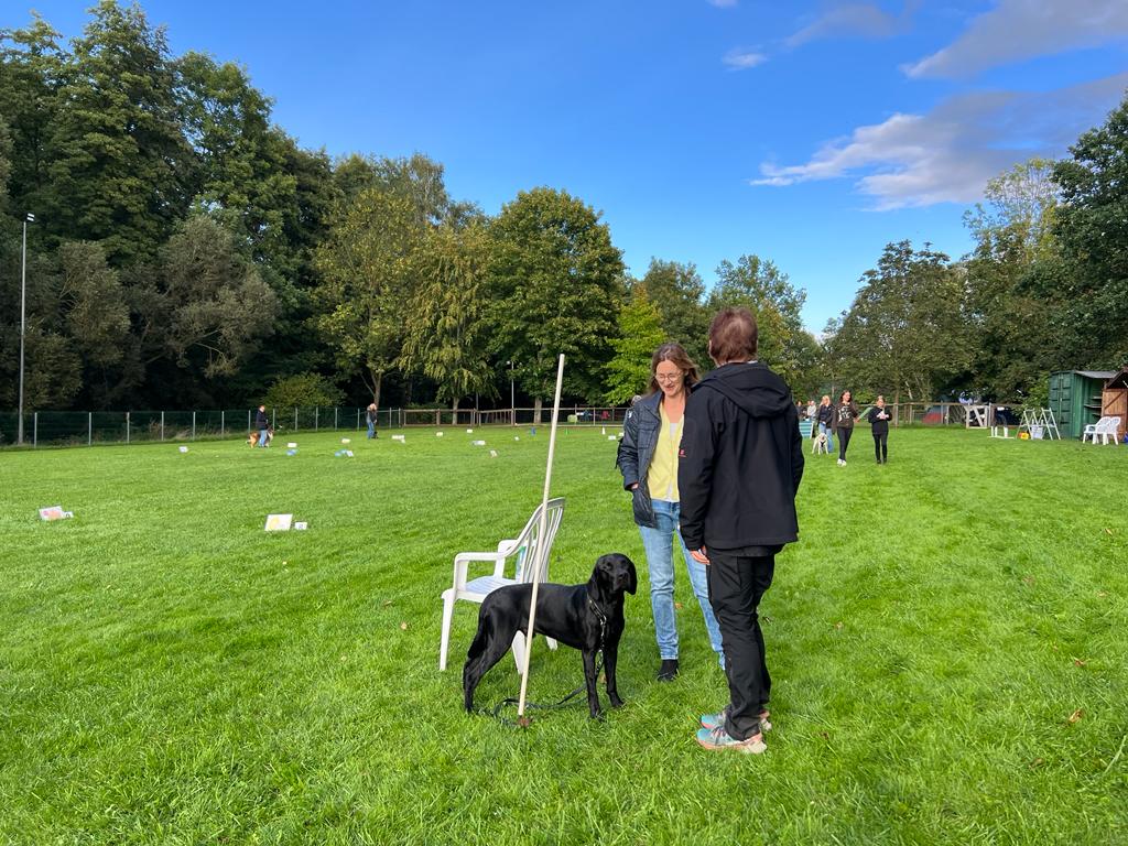 Sommerfest 2023