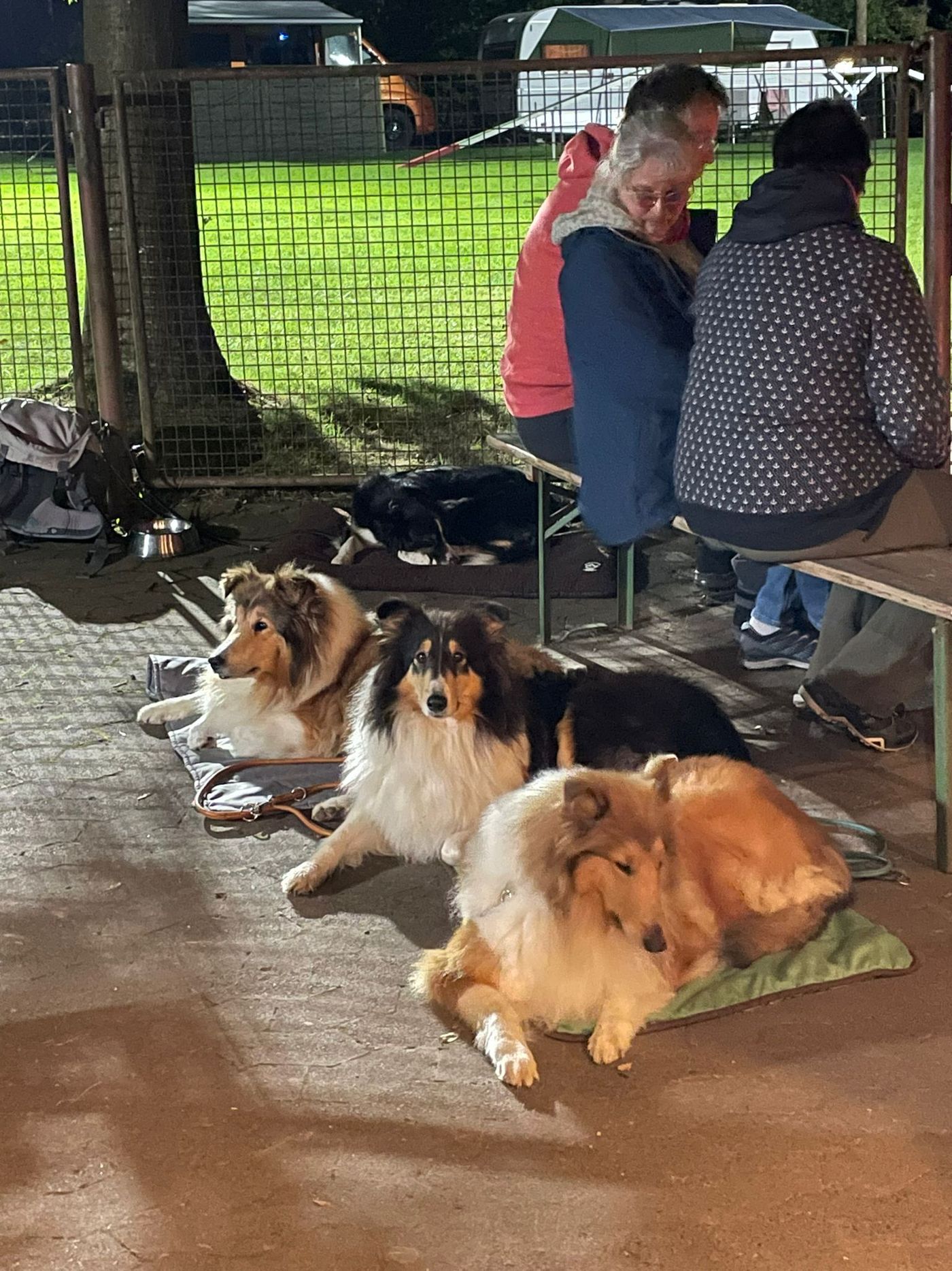 Sommerfest 2023