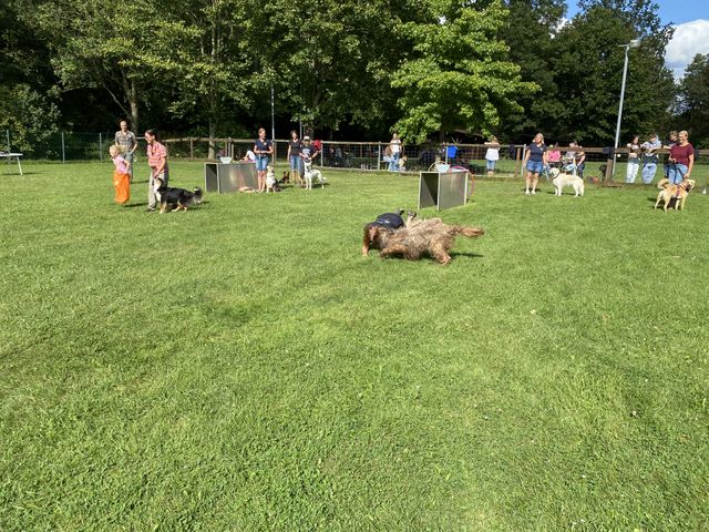 Sommerfest 2024