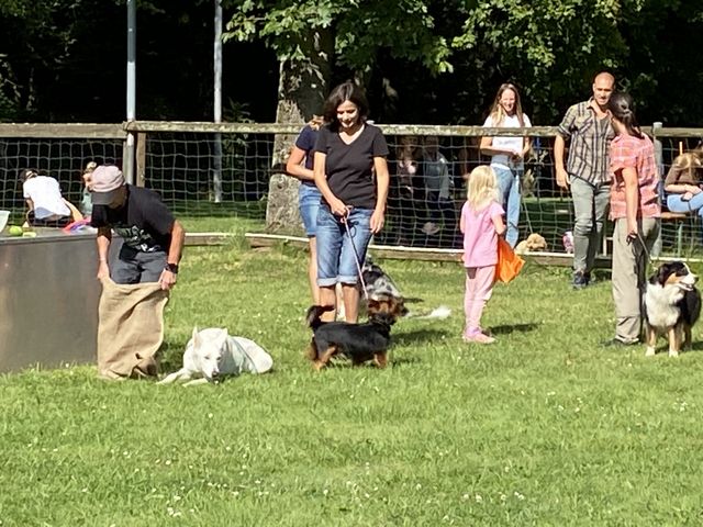 Sommerfest 2024