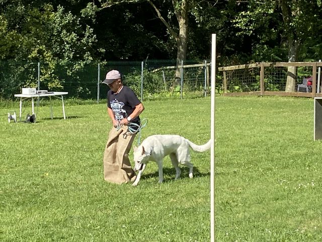 Sommerfest 2024
