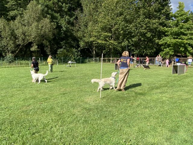 Sommerfest 2024