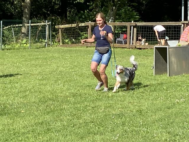 Sommerfest 2024