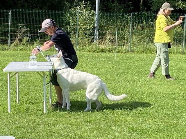 Sommerfest 2024