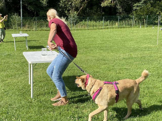 Sommerfest 2024