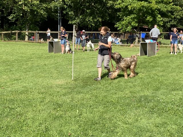 Sommerfest 2024