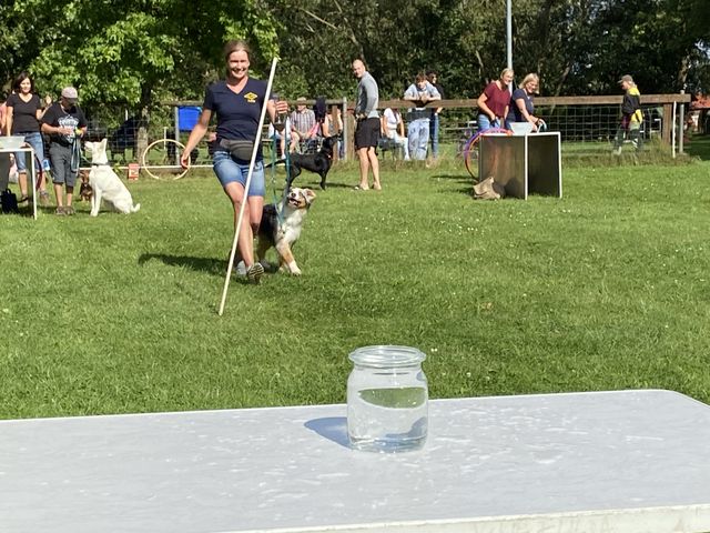 Sommerfest 2024