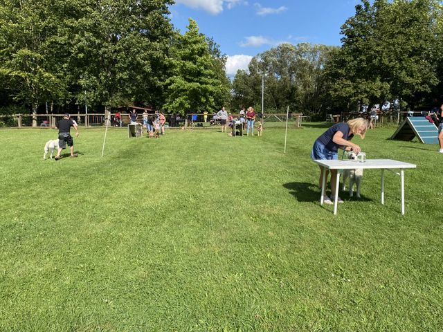 Sommerfest 2024