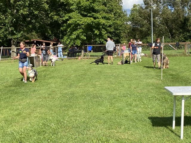 Sommerfest 2024