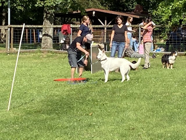 Sommerfest 2024