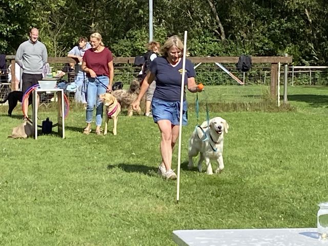 Sommerfest 2024