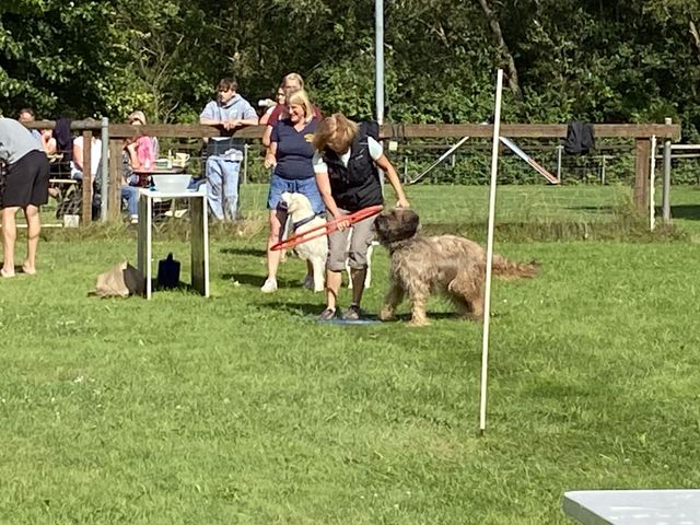 Sommerfest 2024