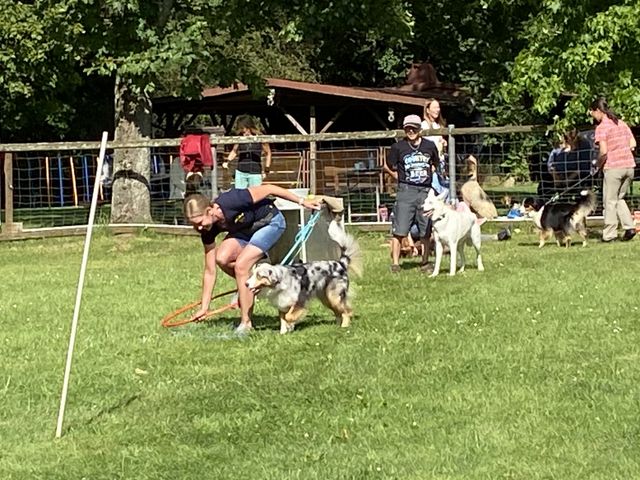 Sommerfest 2024