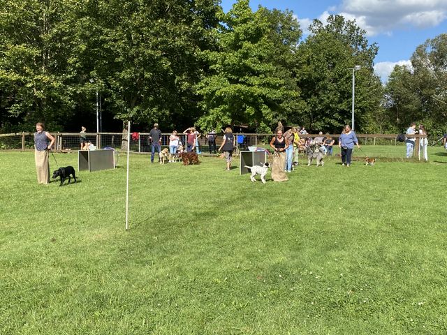 Sommerfest 2024