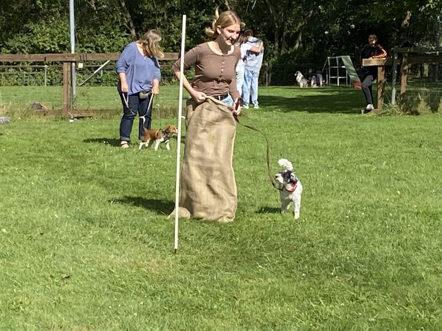 Sommerfest 2024