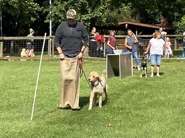 Sommerfest 2024