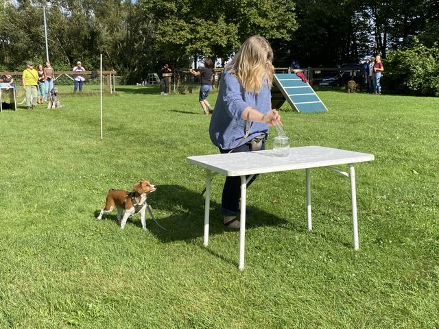 Sommerfest 2024