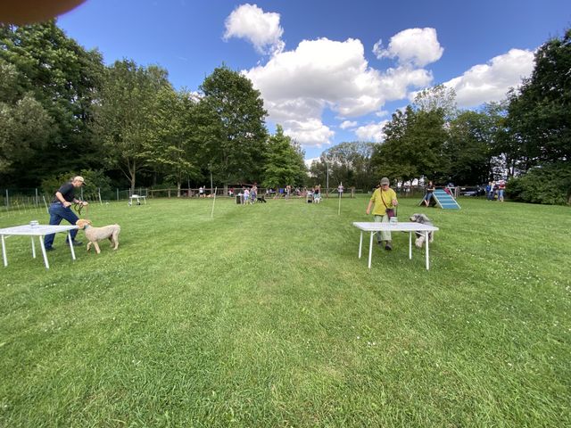 Sommerfest 2024