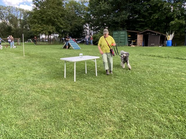 Sommerfest 2024