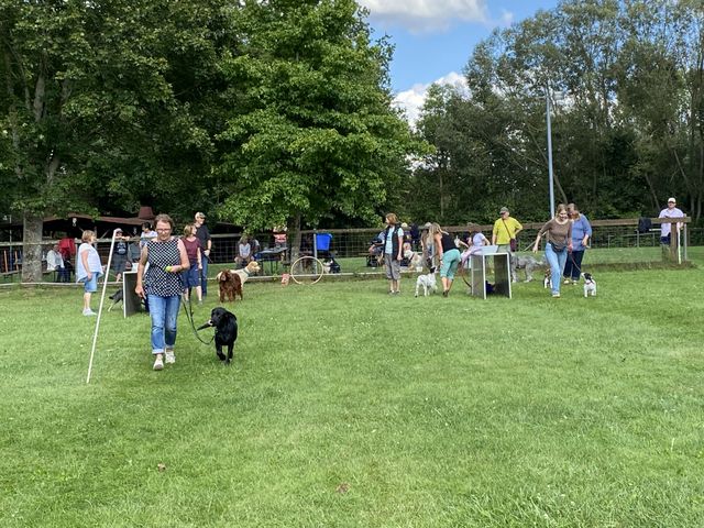 Sommerfest 2024