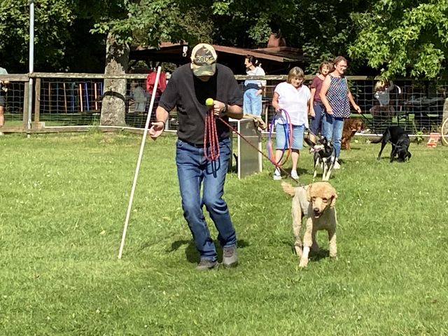 Sommerfest 2024