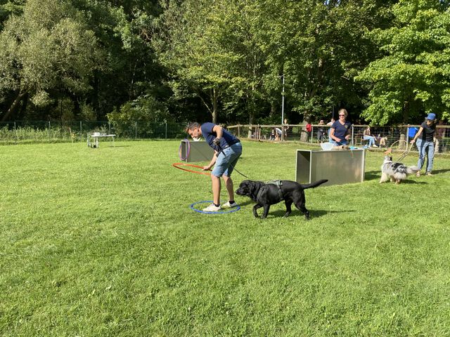 Sommerfest 2024