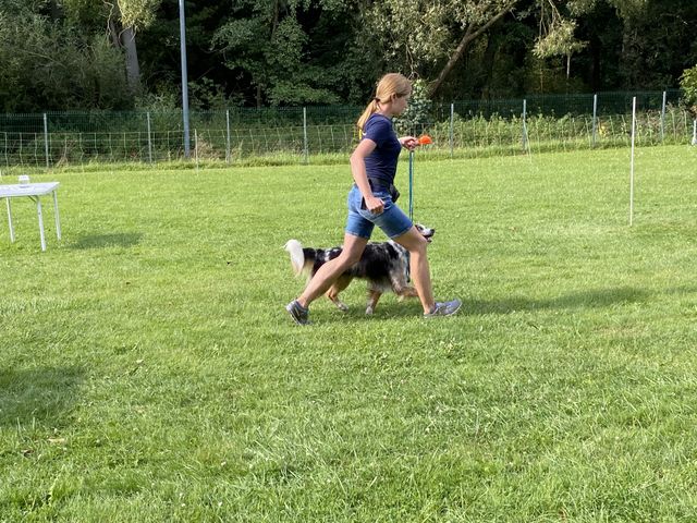 Sommerfest 2024