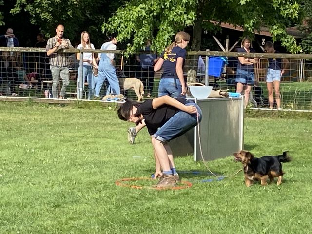 Sommerfest 2024