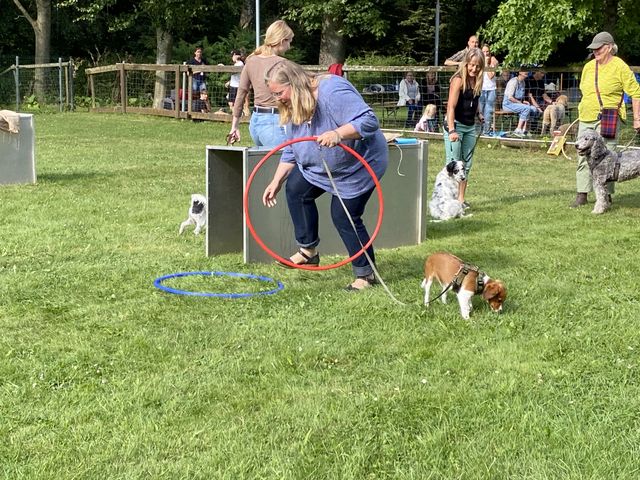 Sommerfest 2024