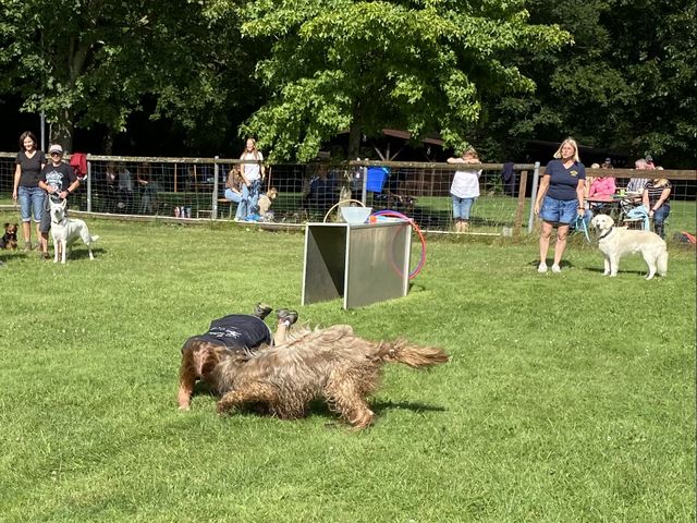 Sommerfest 2024