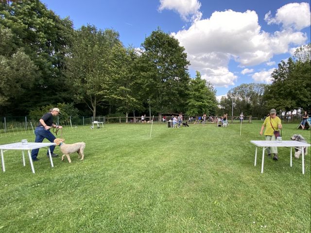 Sommerfest 2024