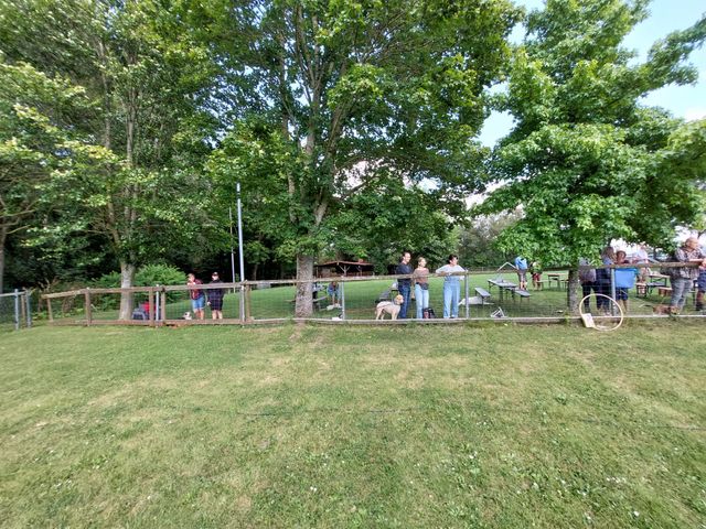 Sommerfest 2024