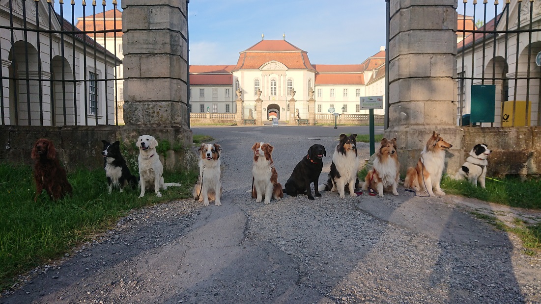 THS Außentraining