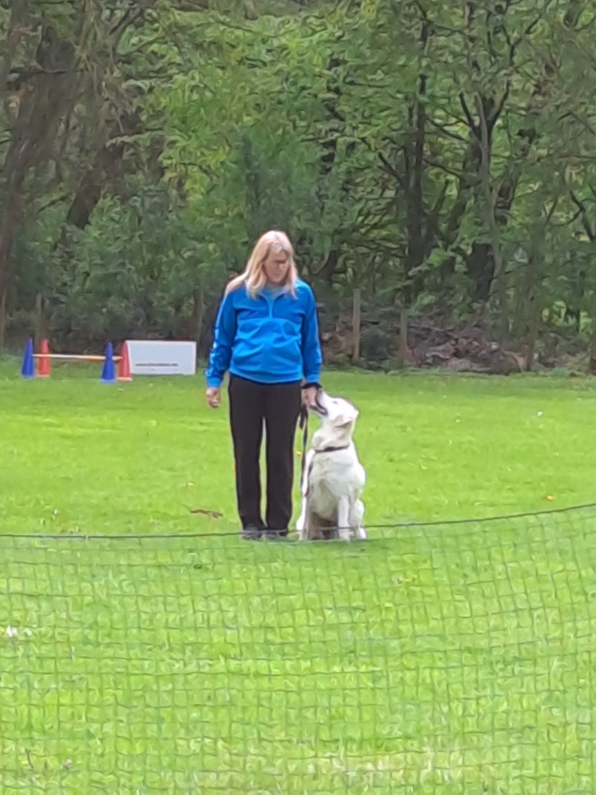 THS Turnier Lohfelden