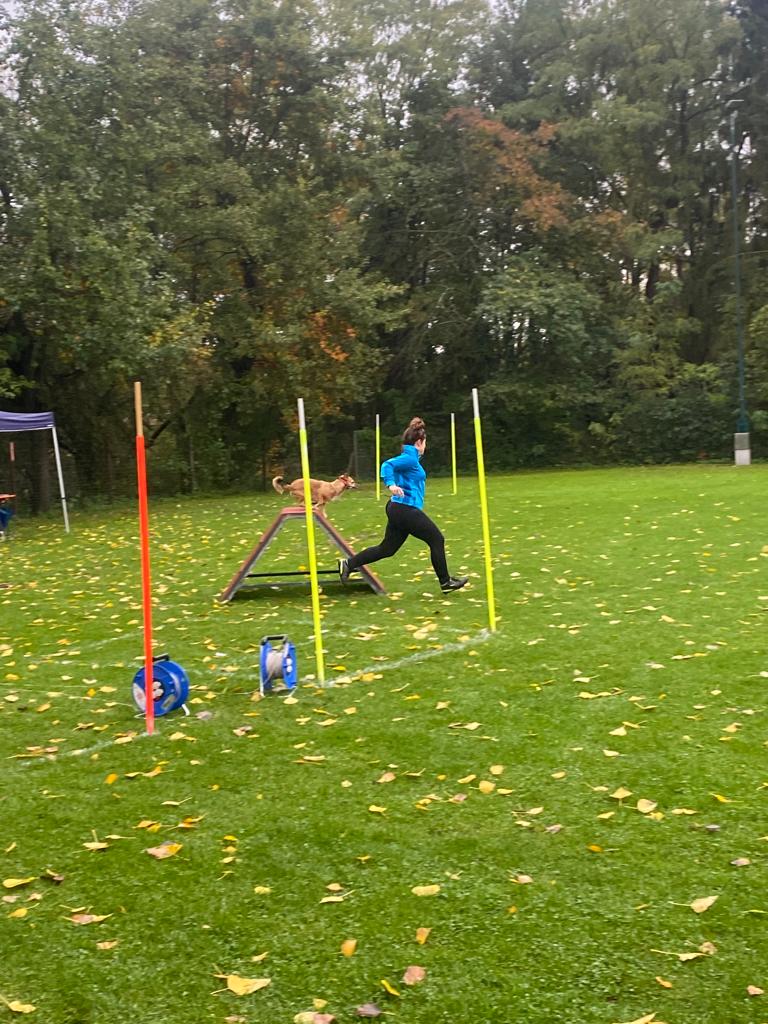 THS-Mainflingen 2023 Herbst
