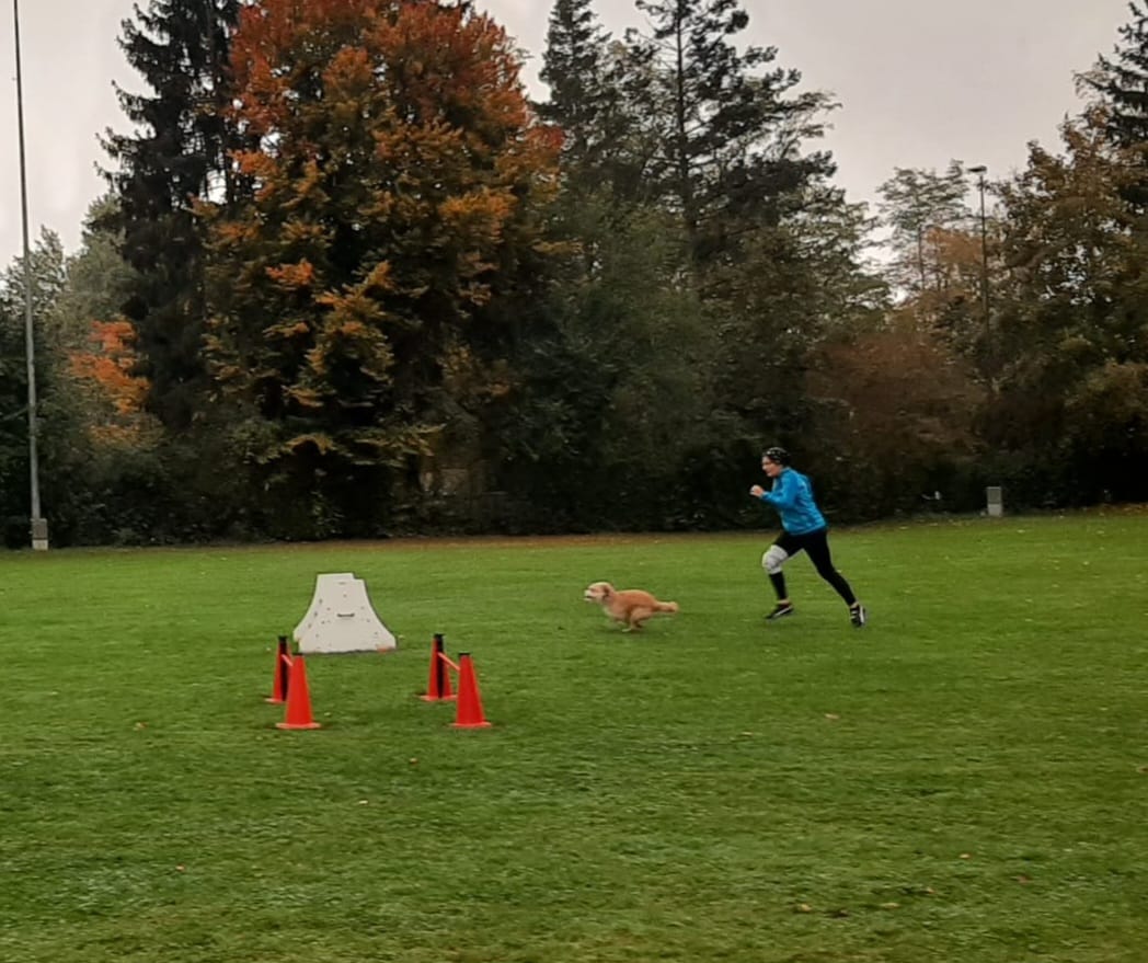 THS-Mainflingen 2023 Herbst
