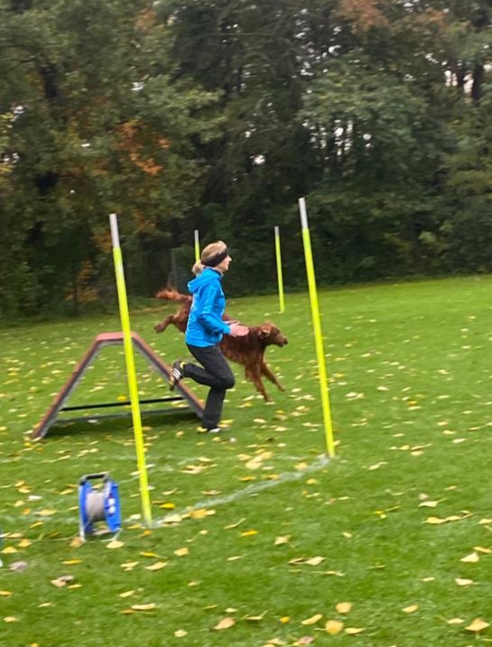 THS-Mainflingen 2023 Herbst