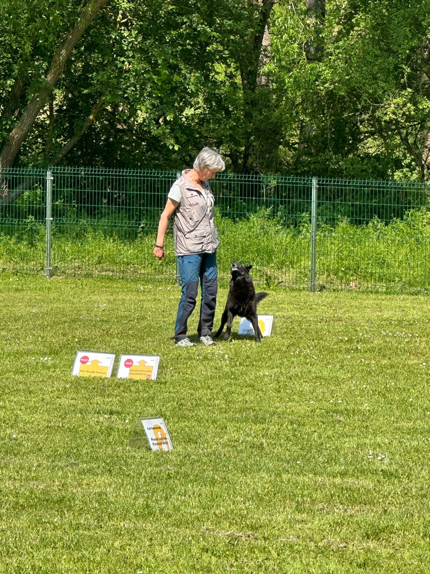 Ralley-O Trainingstag
