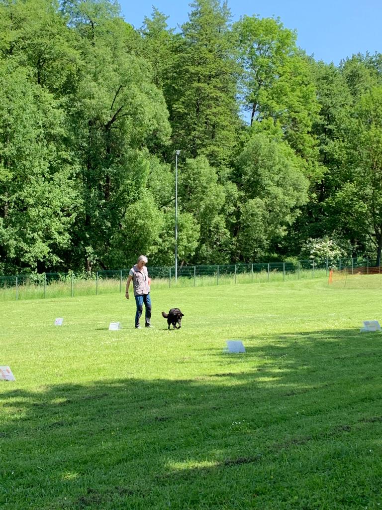 Ralley-O Trainingstag