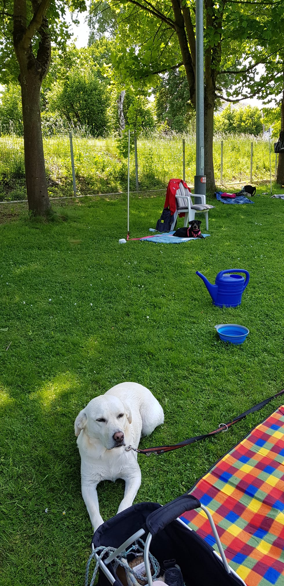Ralley-O Trainingstag