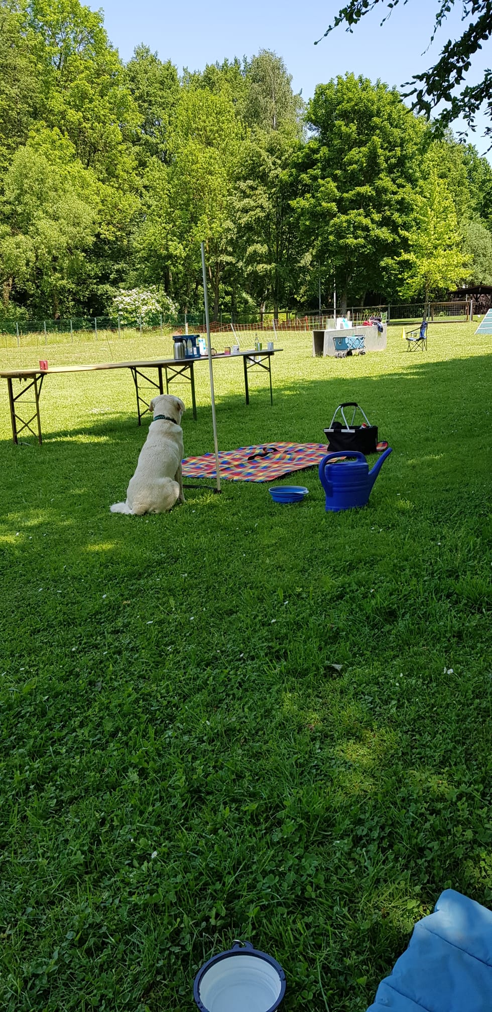 Ralley-O Trainingstag