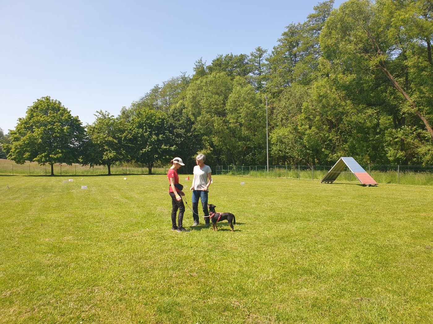 Ralley-O Trainingstag