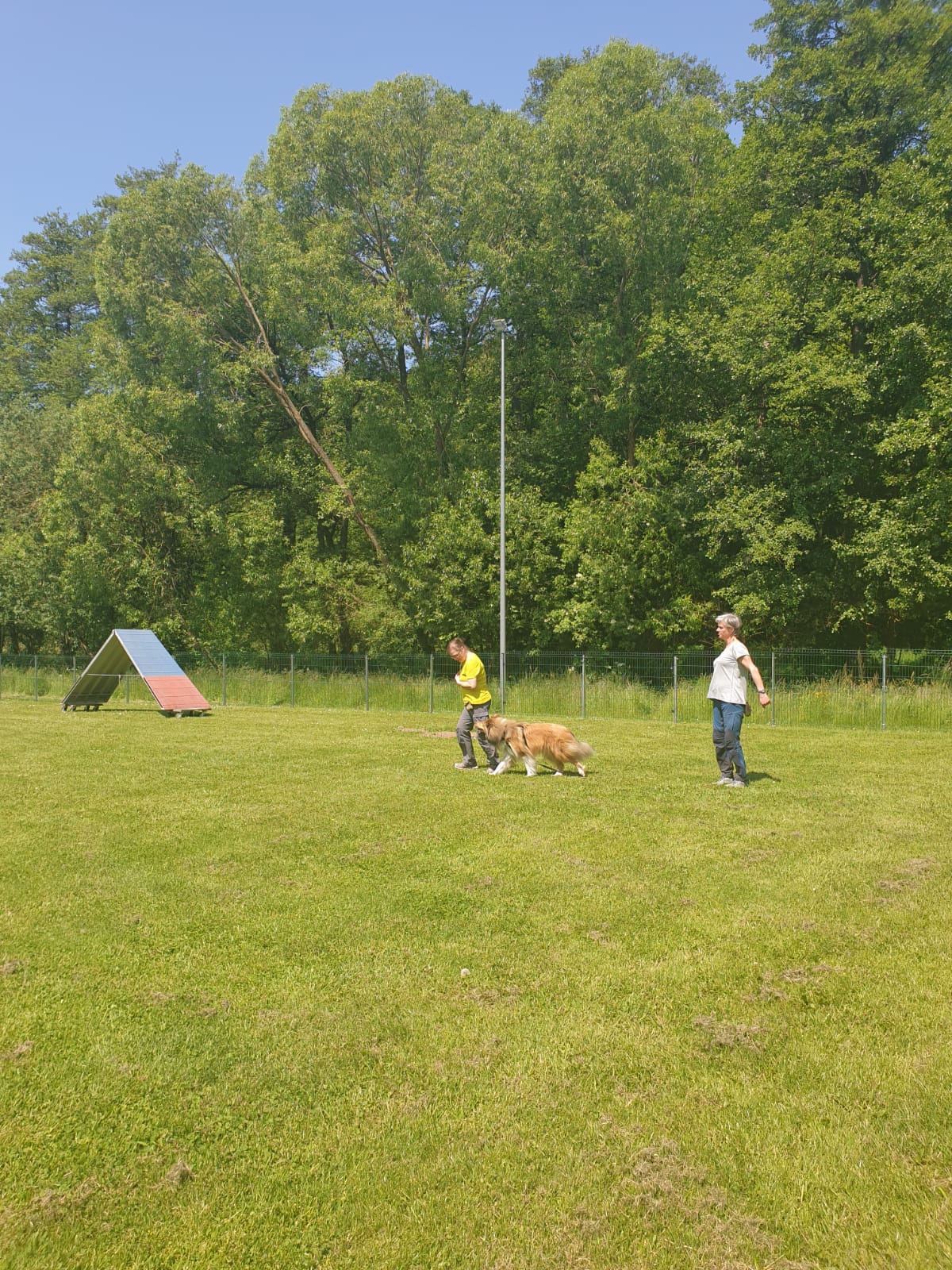 Ralley-O Trainingstag