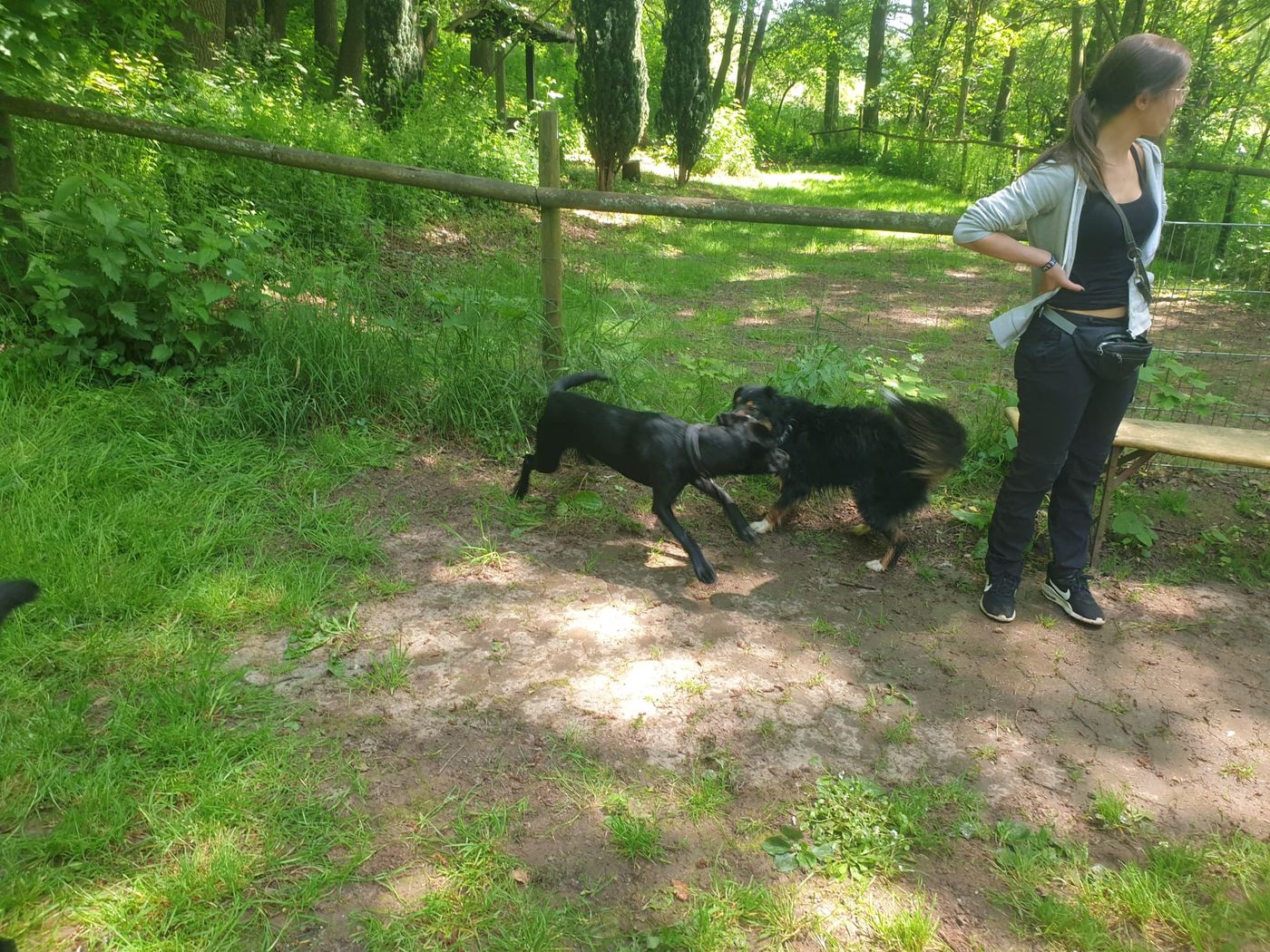 Ralley-O Trainingstag