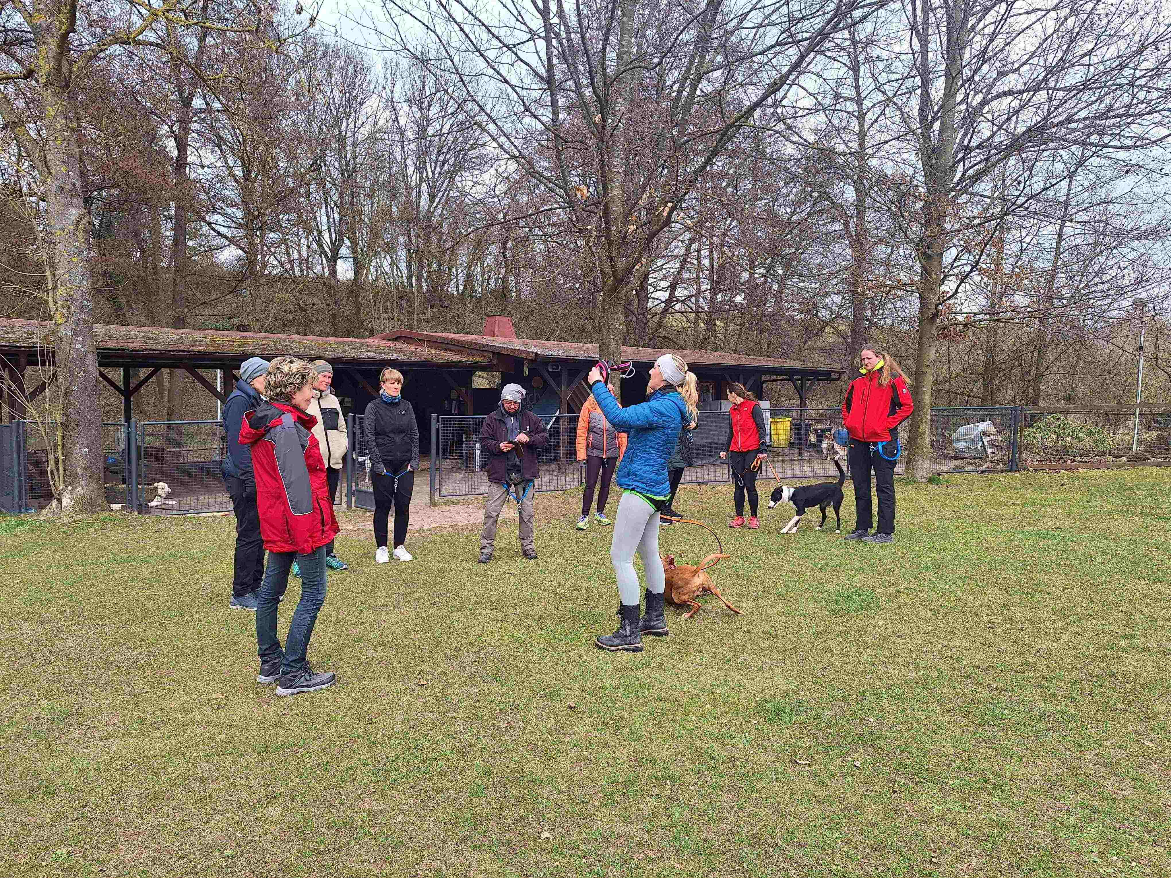 Warm-up/Cool-down Seminar mit Martina Görlich